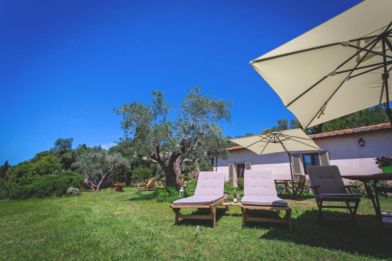 Gatto Rosso Bed & Breakfast Bolgheri Exterior photo