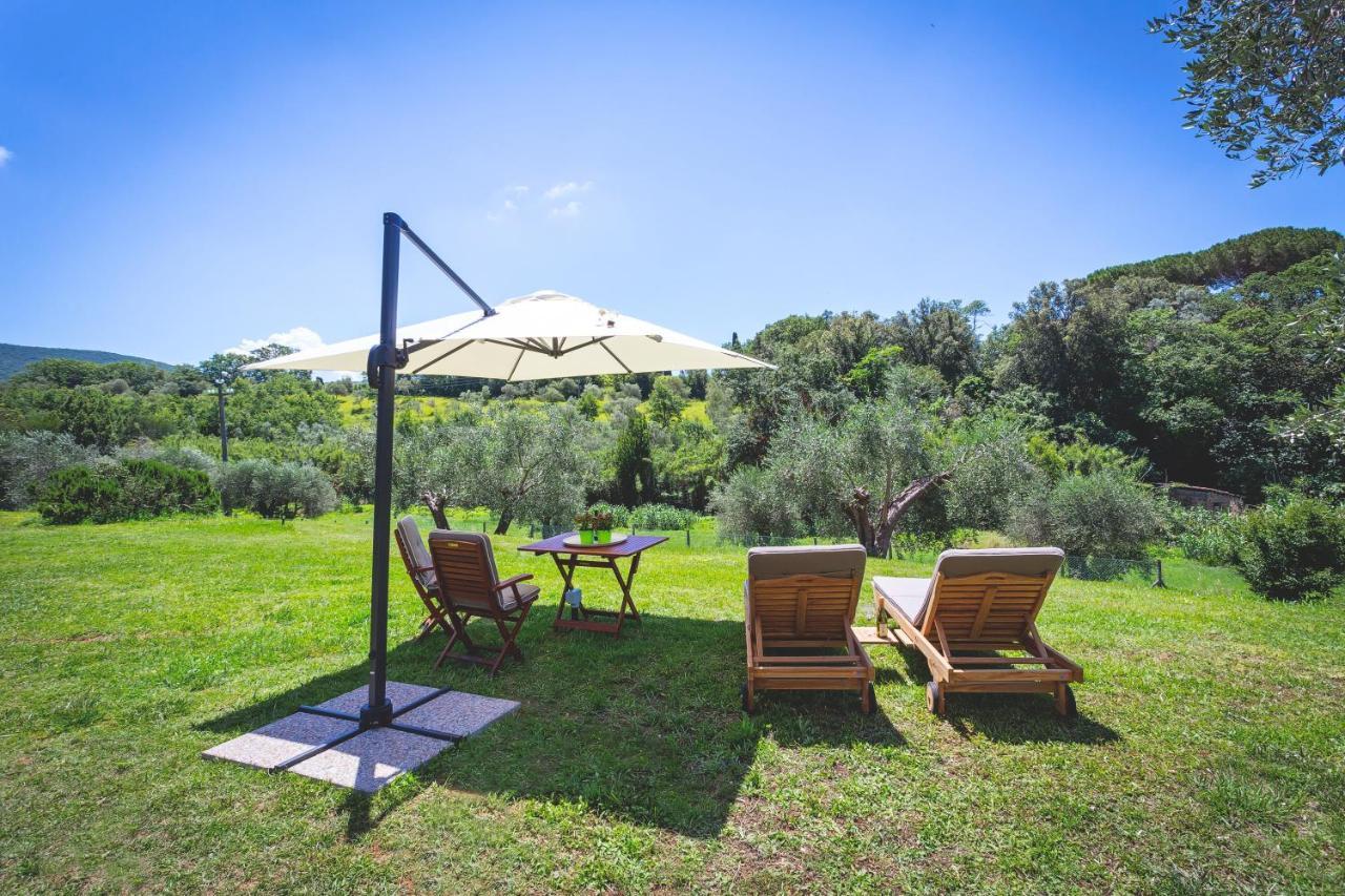 Gatto Rosso Bed & Breakfast Bolgheri Exterior photo