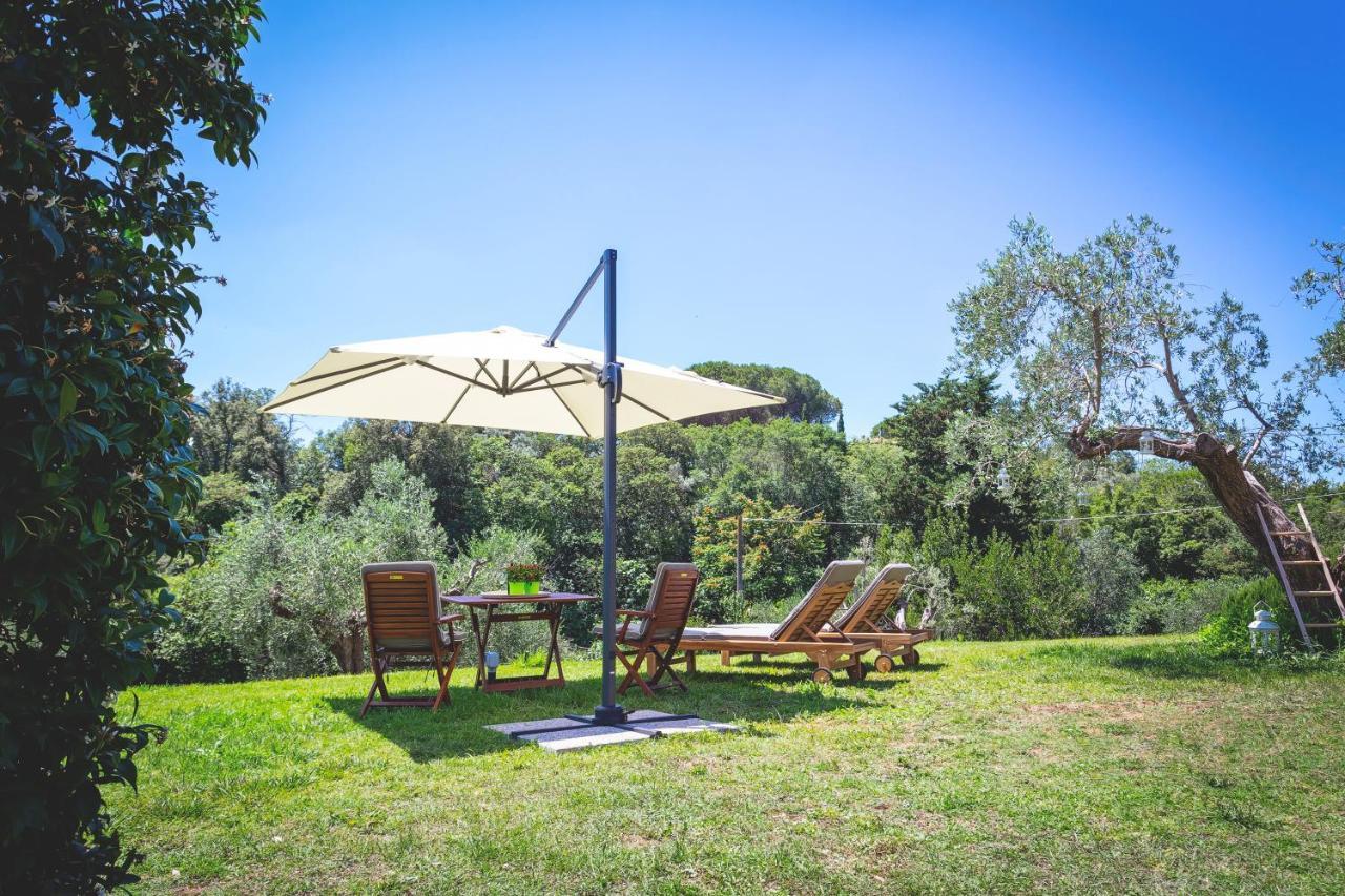 Gatto Rosso Bed & Breakfast Bolgheri Exterior photo