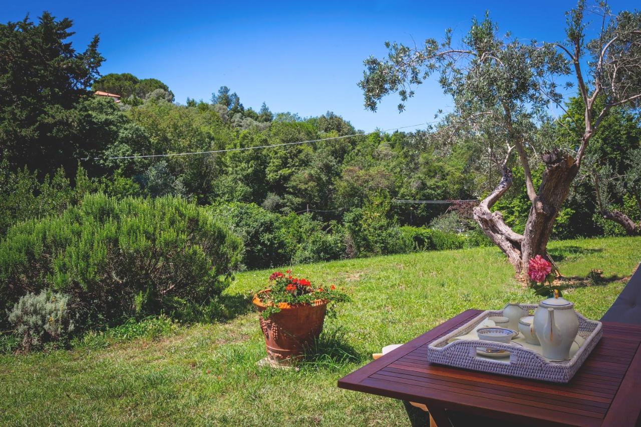 Gatto Rosso Bed & Breakfast Bolgheri Exterior photo