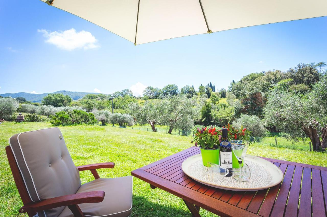 Gatto Rosso Bed & Breakfast Bolgheri Exterior photo