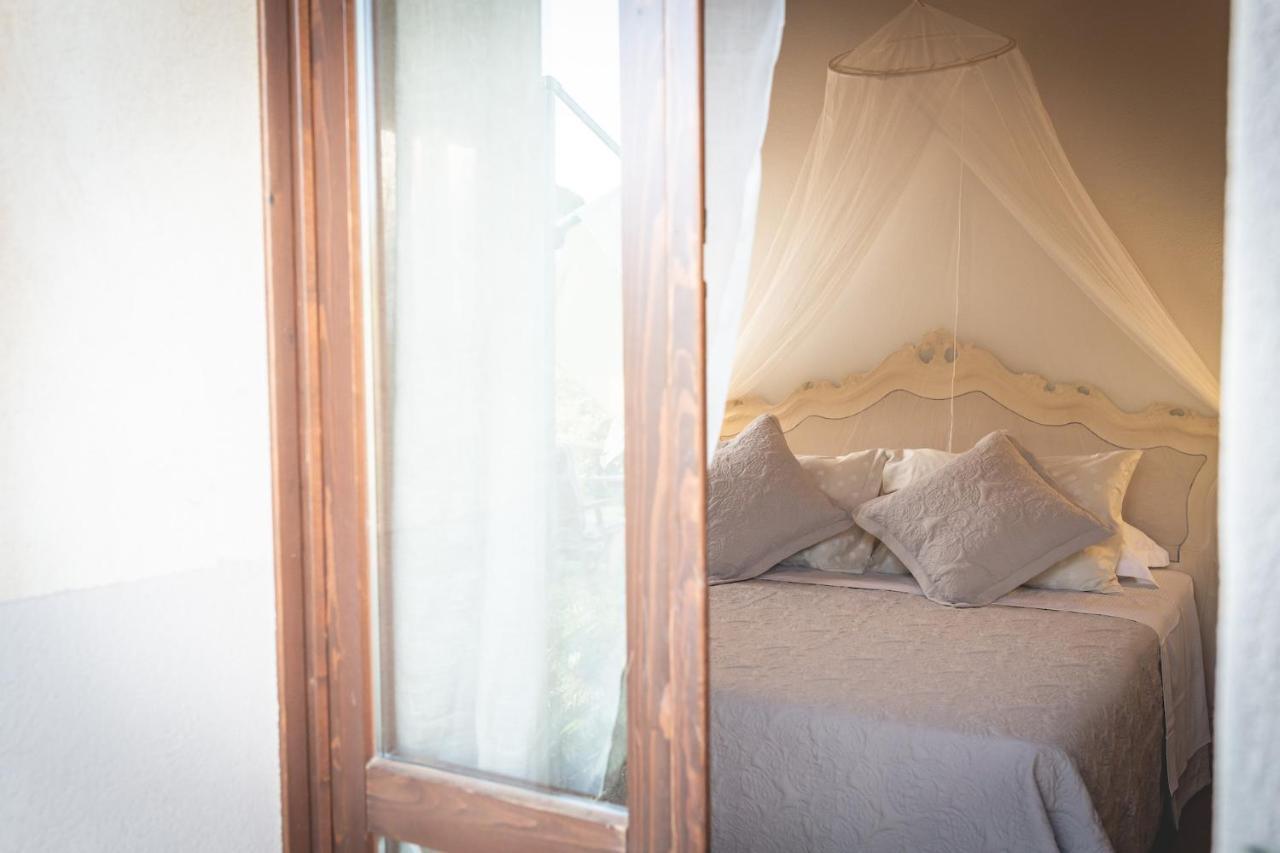 Gatto Rosso Bed & Breakfast Bolgheri Exterior photo